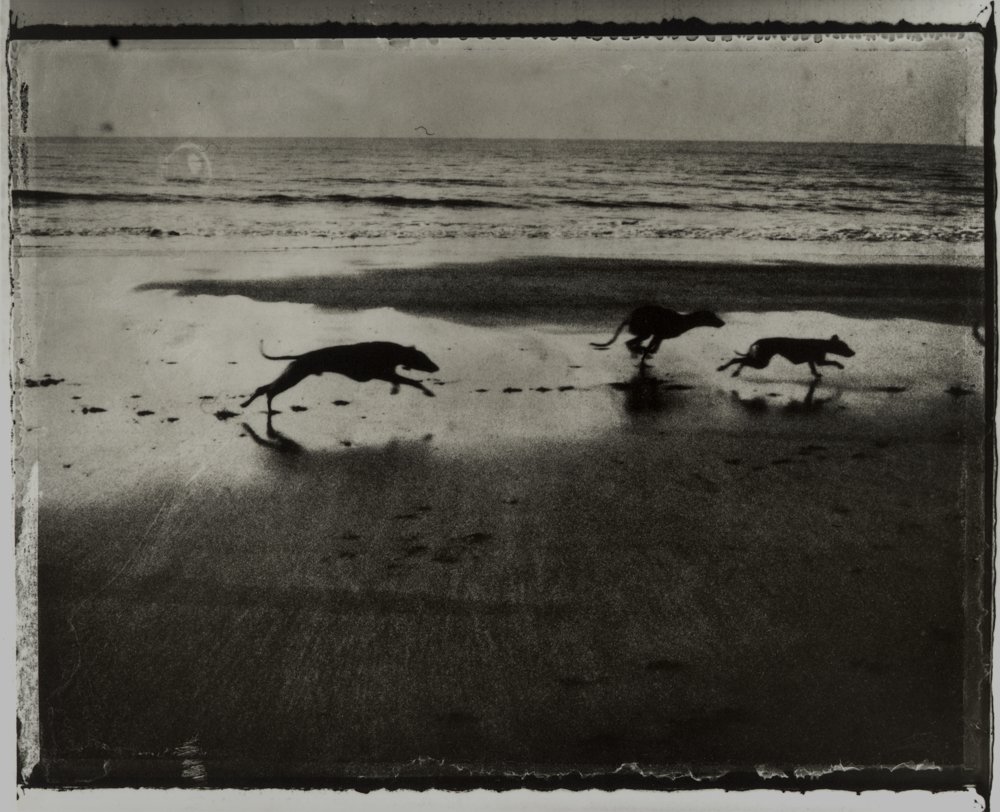 Exhibition Review: Sarah Moon: At the still point — Musée Magazine